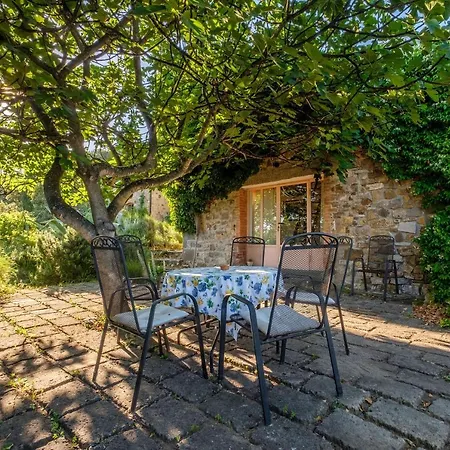 Farm stay Stella Sud Podere Carbone Grosseto