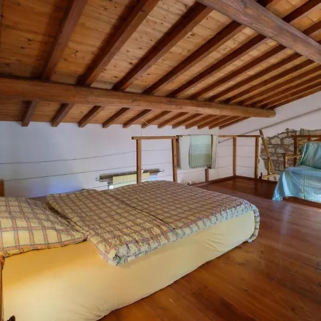 Farm stay Stella Sud Podere Carbone *