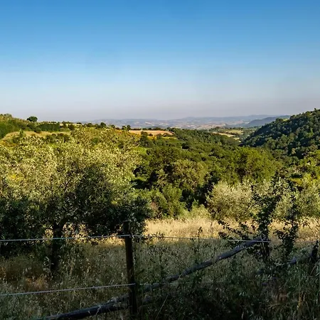 Stella Sud Podere Carbone * Grosseto