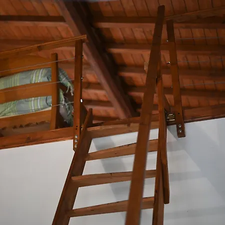 Farm stay Stella Sud Podere Carbone