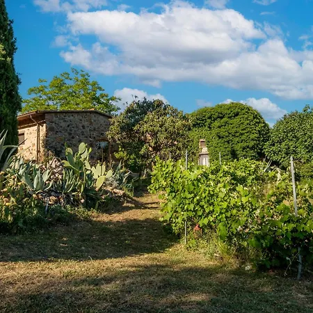 Stella Sud Podere Carbone Farm stay Grosseto