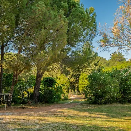 Stella Sud Podere Carbone Farm stay *