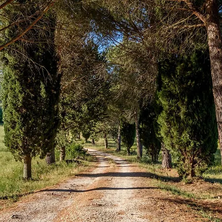 Farm stay Stella Sud Podere Carbone